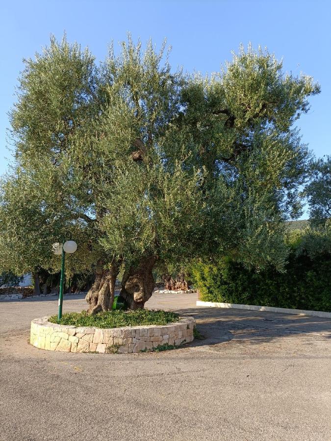 Masseria Galleppa By Apulia Hospitality Macchia di Monte Eksteriør billede